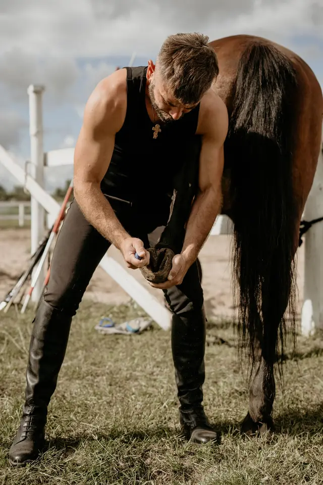 Routine Hoof Trimming context for Eastern PA Farrier