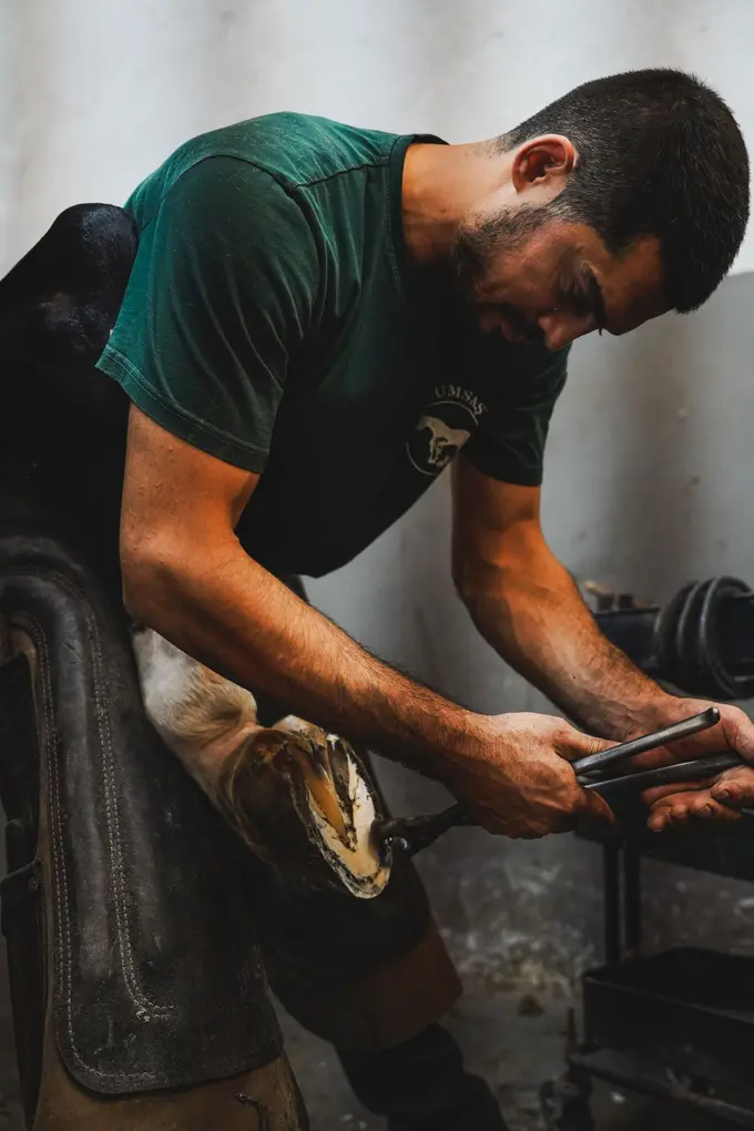 Farrier shoeing a horse inside a stable